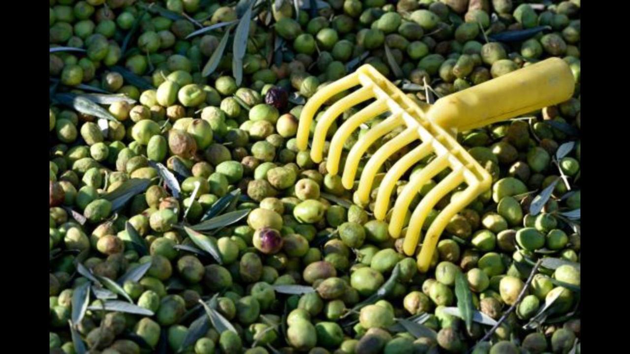 Hebergements Des Posas Sampzon 외부 사진